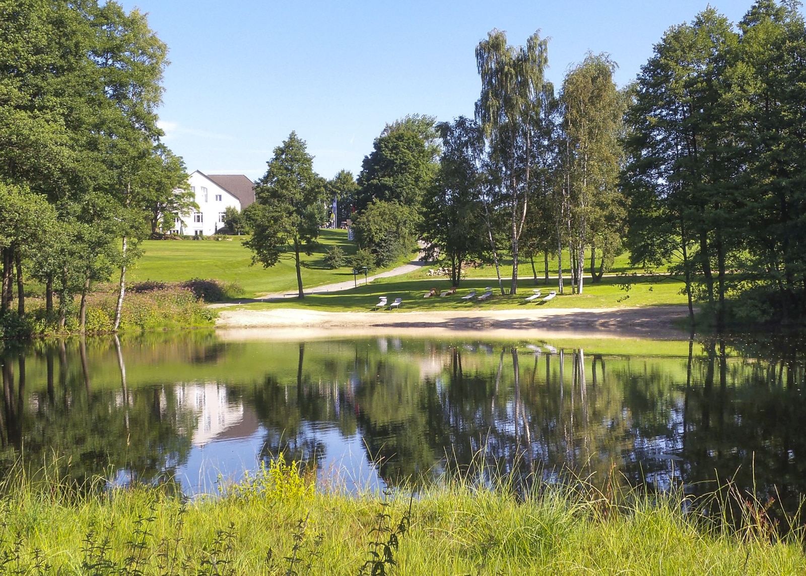 Naturbedateich-Fahrenbach-001 Unser Naturbadeteich direkt neben dem Golfhotel Fahrenbach